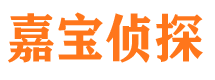 北林市侦探公司